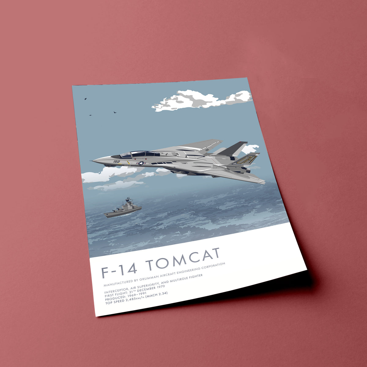 F-14 Tomcat US Navy Aircraft Print